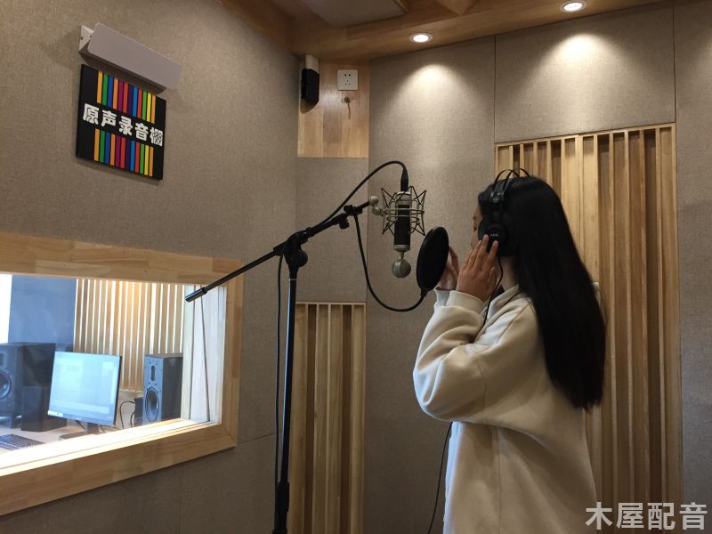 播音主持艺考专业的基本要求_配音工作经验_木屋配音